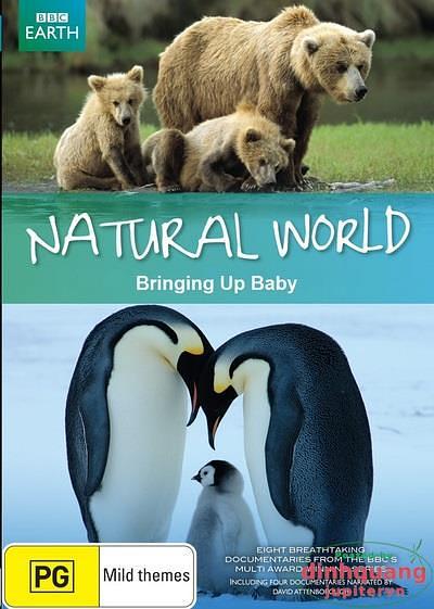BBC 自然世界 2009 动物母性