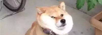 杜秋大人往前走不要往2边看你会融化在那蓝天里高仓健