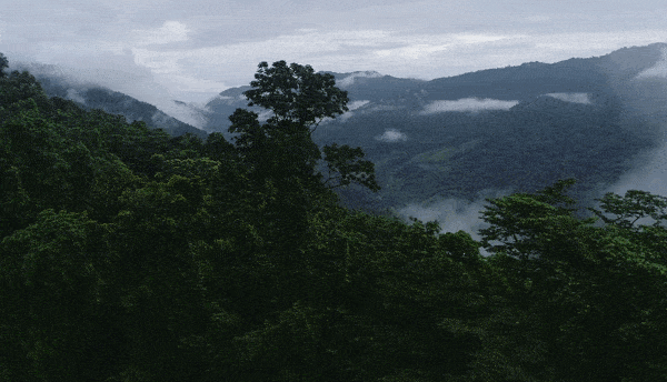 这部美食A片，又在勾引我“犯罪”！