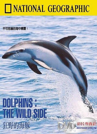 国家地理百年纪念： 狂野的海豚