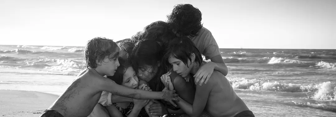 上映一周就下架，怎么拿奖再多也没人看？