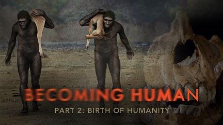 人类进化2：生而为人