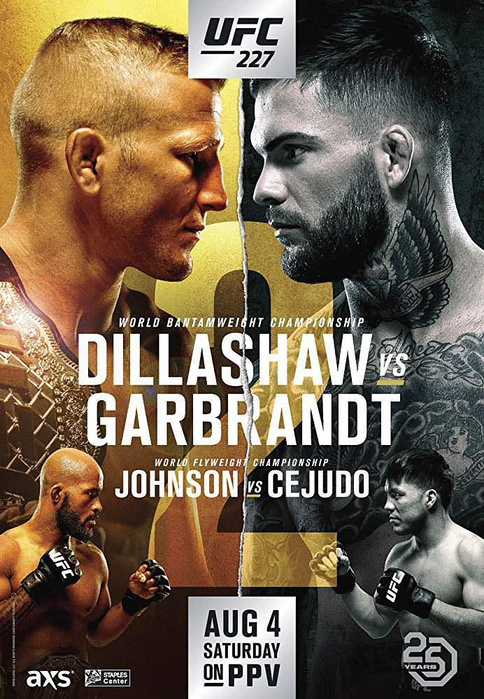 UFC 227:迪拉肖VS加布兰特 2