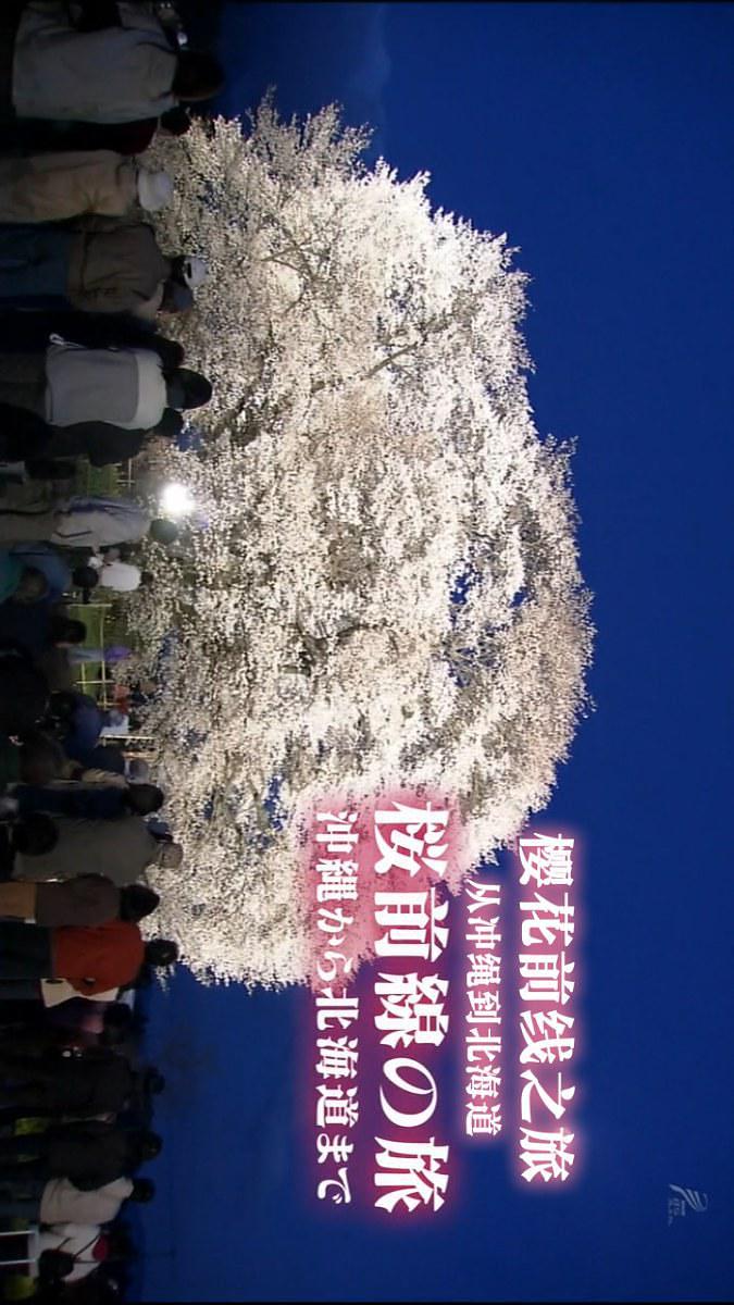 樱花前线之旅 从冲绳到北海道