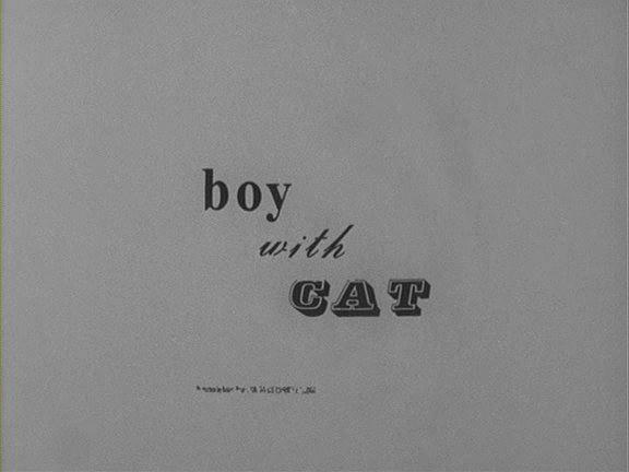 男孩与猫