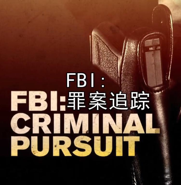 FBI：罪案追踪 第二季