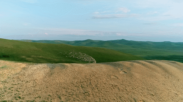 这部美食A片，又在勾引我“犯罪”！