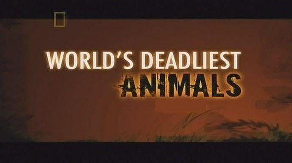 世界致命动物系列：亚马逊河篇