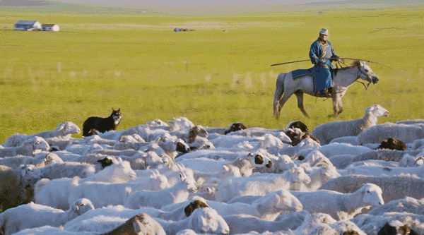 这部美食A片，又在勾引我“犯罪”！