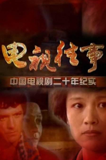 中国电视剧20年纪实
