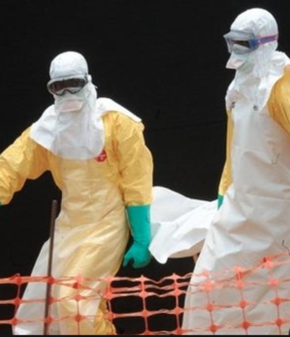 寻找治愈埃博拉病毒的方法