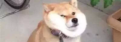 伴侣可能是救命稻草。也可能是沉陷区的礁石，人是有不确定有2面