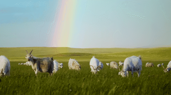 这部美食A片，又在勾引我“犯罪”！