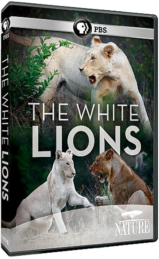 白狮成长记