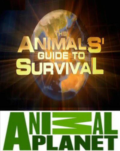 动物生存指南