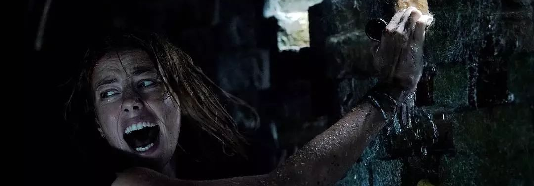 ​超爽的灾难片！看完手心全是汗