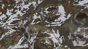 这部美食A片，又在勾引我“犯罪”！